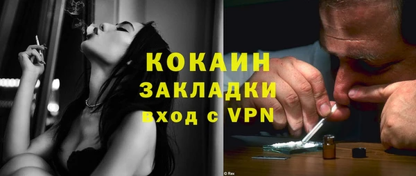 стаф Алексин
