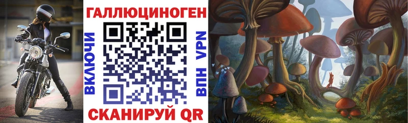 Галлюциногенные грибы MAGIC MUSHROOMS  дарнет шоп  Катайск 